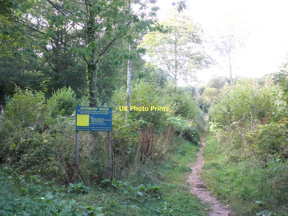 Photo 6"x4" Entrance path, Aconbury Wood King's Thorn c2011