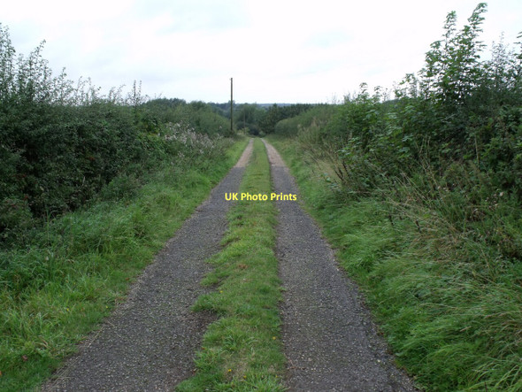 Photo 6"x4" Track to Horncastle Canal off A153 Tumby c2011
