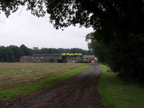 Photo 6"x4" Drive to Nursery Farm Tumby c2011