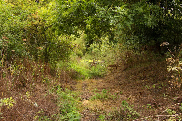 Photo 6"x4" The former Wilts & Berks Canal near Drayton Drayton\/SU4794 c2011