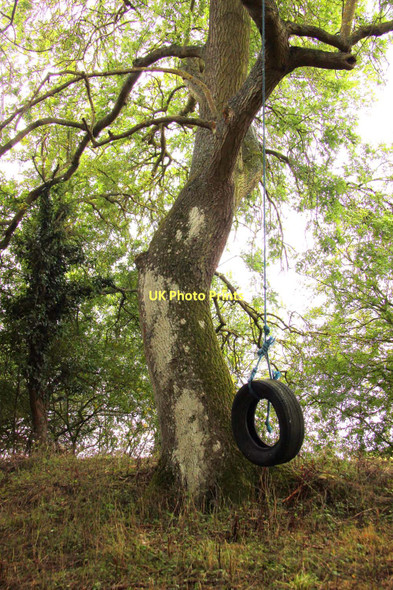 Photo 6"x4" Tyre swing by the former canal Drayton\/SU4794 c2011