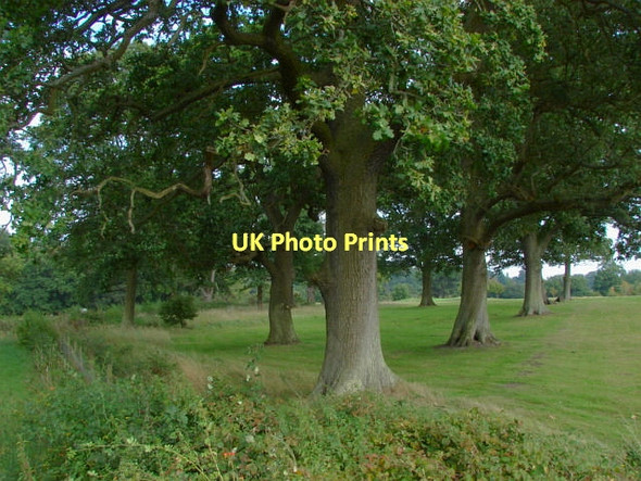 Photo 6"x4" Merrist Wood Golf Course Littlefield Common c2011