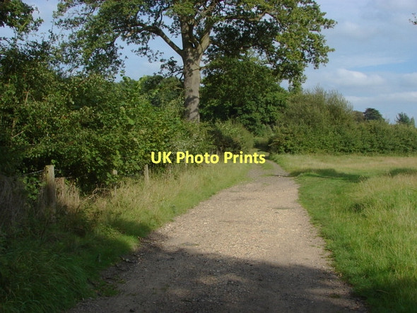 Photo 6"x4" Fox Way, Merrist Wood Littlefield Common c2011