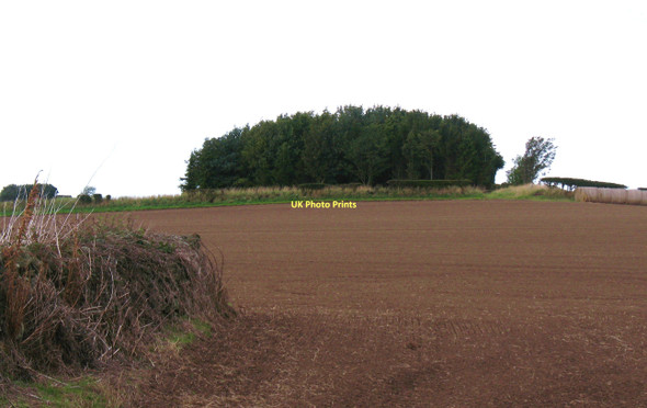 Photo 6"x4" Hilltop copse Hutton Hang c2011