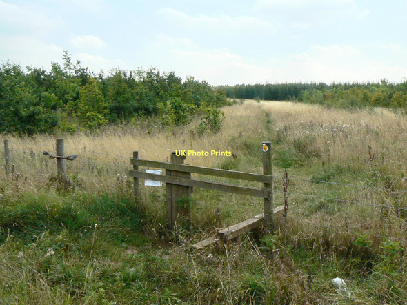 Photo 6"x4" Footpath near Radcliffe-on-Trent Radcliffe on Trent c2011