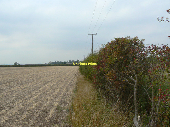 Photo 6"x4" Hedgerow alongside Cropwell Lane Upper Saxondale c2011