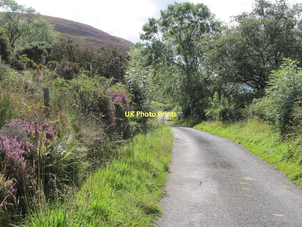 Photo 6"x4" Drumreagh Road in early September Rostrevor c2011