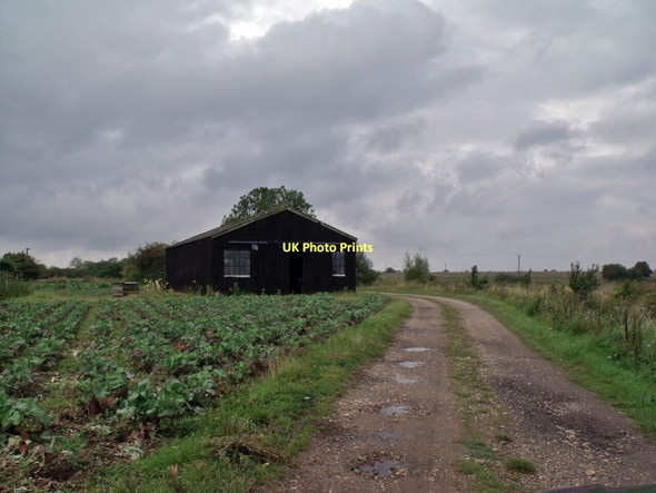 Photo 6"x4" Track to Primrose Cottage with Barn and Crops Mareham le Fen c2011