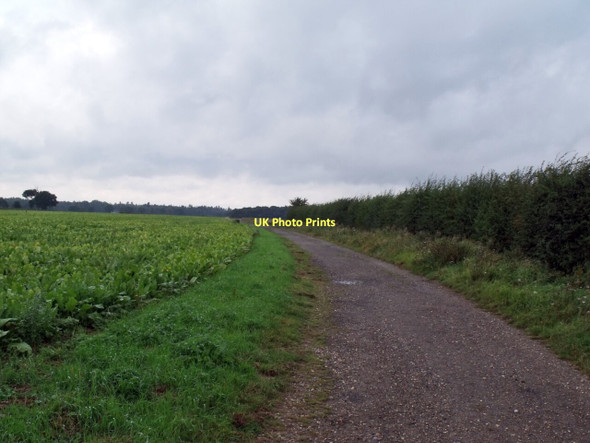 Photo 6"x4" Track to Mareham Moor Mareham le Fen c2011