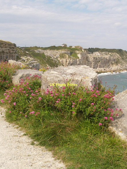 Photo 6"x4" The South West Coast Path at God Nore Southwell\/SY6870 c2011