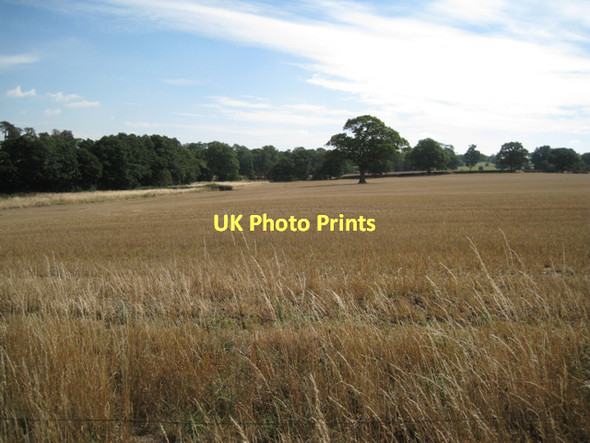 Photo 6"x4" Harvested field, Cornets End  Four Oaks\/SP2480 c2011