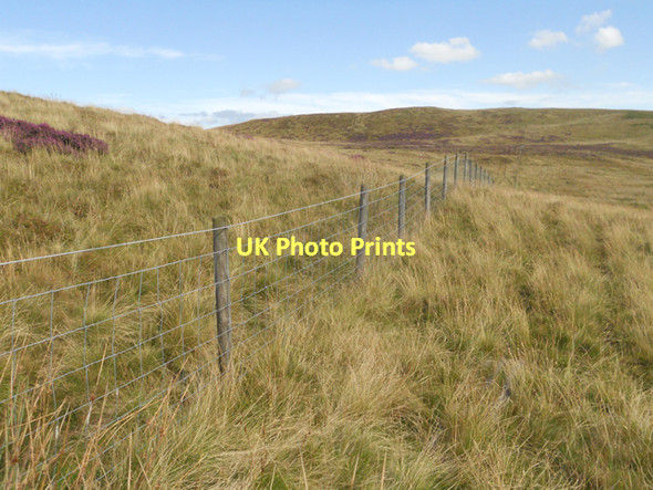 Photo 6"x4" Boundary fence to the Berwyn Nature Reserve Pencraig\/SJ0427 c2011
