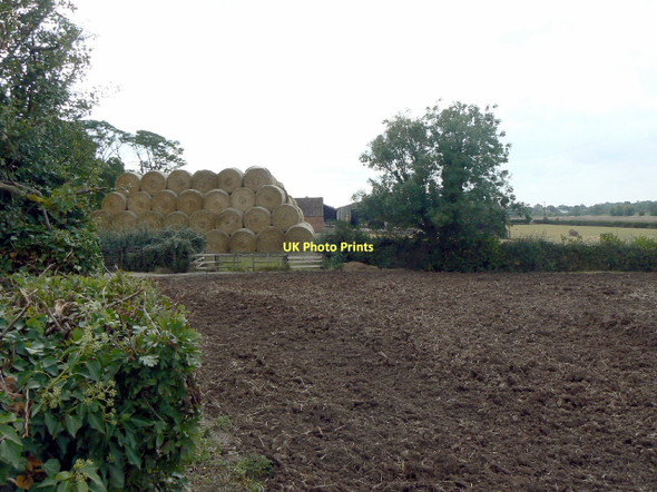 Photo 6"x4" Manor Farm, Tithby Cropwell Butler c2011