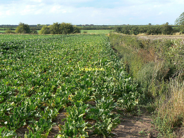 Photo 6"x4" Permissive footpath Cropwell Butler c2011