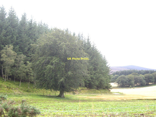 Photo 6"x4" Minor road at Cot Hill Rhynie\/NJ4927 c2011