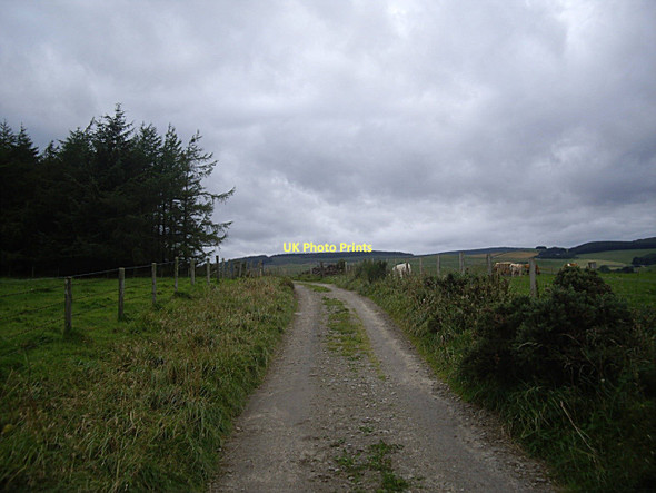 Photo 6"x4" Approach to summit of track to Templand Rhynie\/NJ4927 c2011