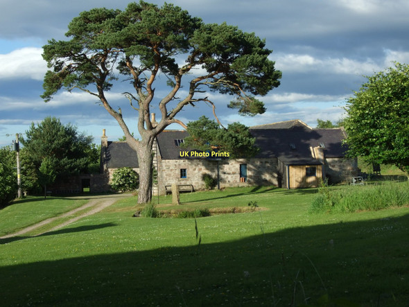 Photo 6"x4" New Mains, Oyne Old Westhall c2010