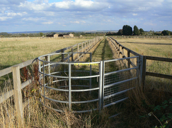 Photo 6"x4" Footpath near Cropwell Butler Cropwell Bishop c2011