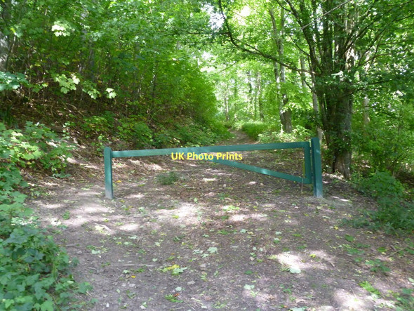 Photo 6"x4" Green Hill, gate Hilton\/ST7803 c2011
