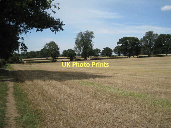 Photo 6"x4" Harvested fields southwest of Four Oaks  Four Oaks\/SP2480 c2011