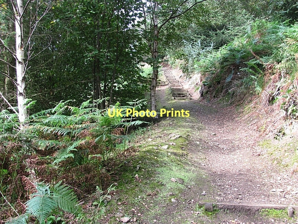 Photo 6"x4" Steps, Benarty Wood Ballingry c2011