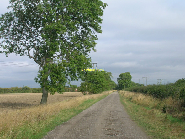Photo 6"x4" Common Lane towards Almholme Almholme c2011
