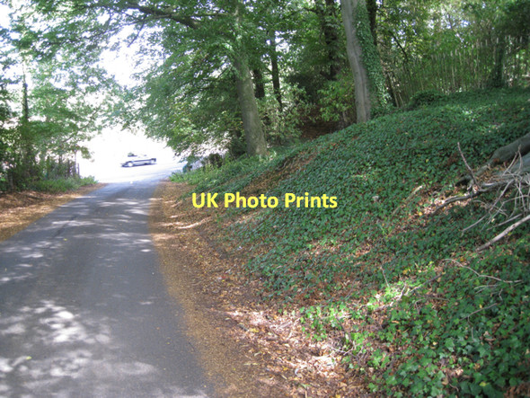 Photo 6"x4" Ivy-clad bank, Church Lane Eaves Green c2011