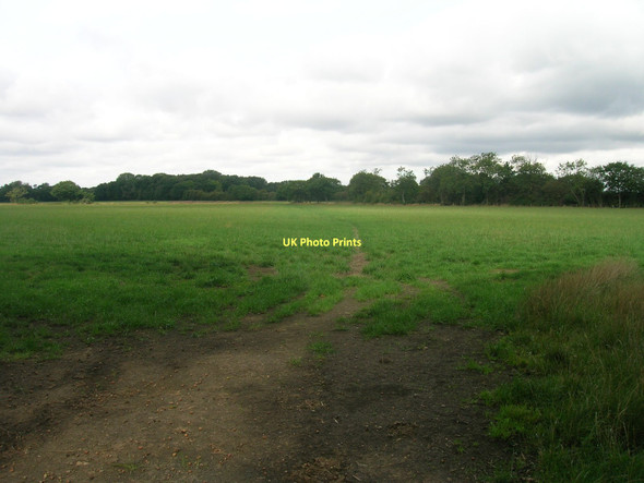 Photo 6"x4" Farmland off Haywood Lane Haywood\/SE5812 c2011