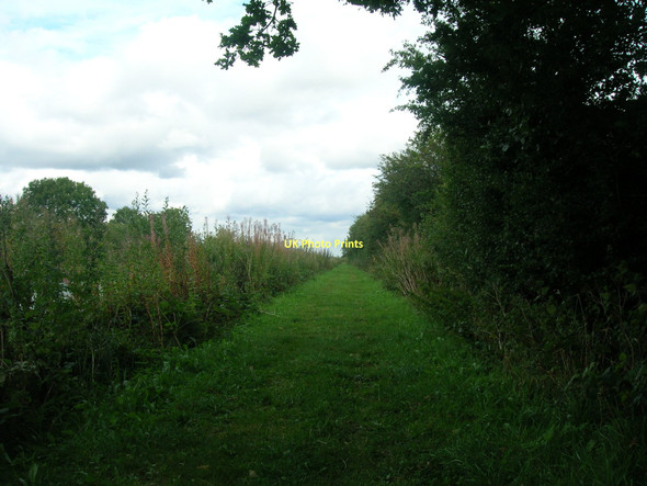 Photo 6"x4" Towpath, New Junction Canal Eskholme\/SE6317 c2011