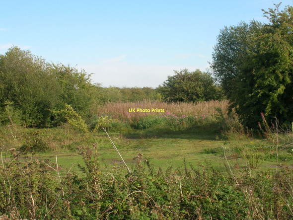 Photo 6"x4" Waste ground near Askern Instoneville c2011