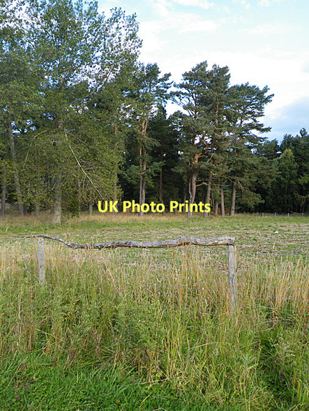 Photo 6"x4" Fence near Clearfield Dinnet c2011