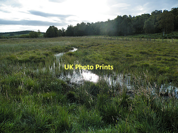 Photo 6"x4" Boggy Ground (east) Ordie\/NJ4501 c2011