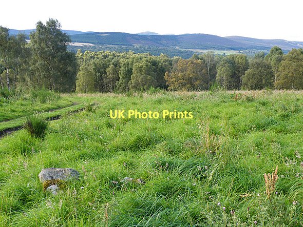 Photo 6"x4" Near Knockenzie Ordie\/NJ4501 c2011