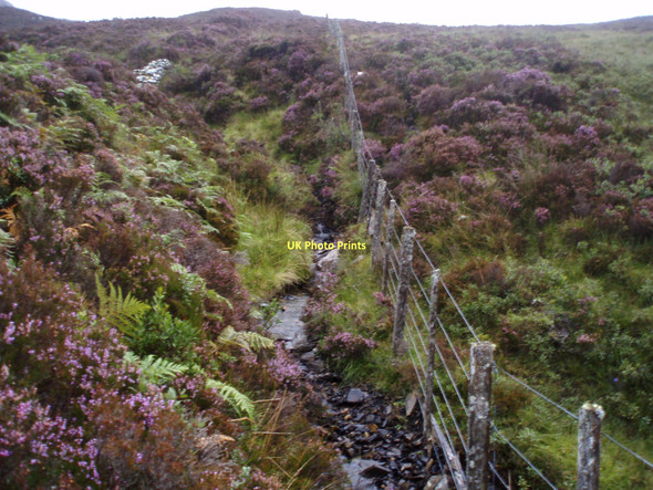 Photo 6"x4" Loch Tarff - Knockie path crossing burn Murligan Hill c2011