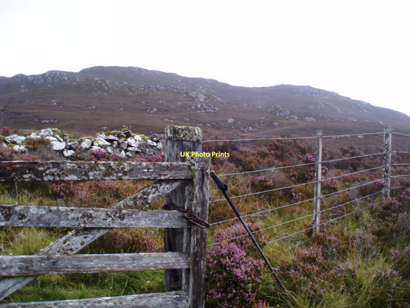 Photo 6"x4" Gate by Loch Tarff - Knockie path Murligan Hill c2011