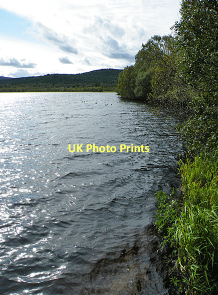 Photo 6"x4" Loch Kinord Dinnet c2011