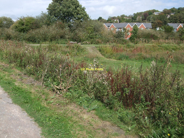 Photo 6"x4" Lewes Railway Land LNR Lewes c2011