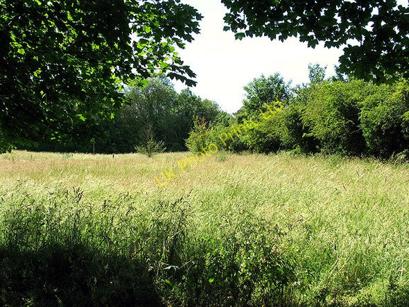 Photo 6"x4" Fallow field: Compton Compton\/SU5280 c2005