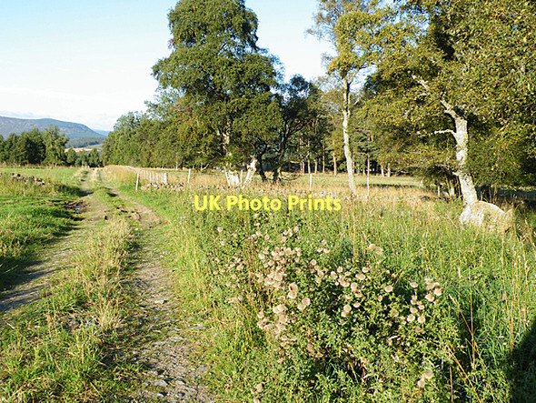 Photo 6"x4" Track near Clearfield Dinnet c2011