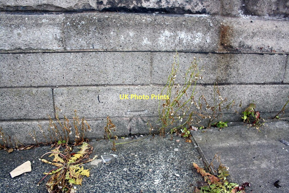 Photo 6"x4" Benchmark on #1 Scalegate Road Carlisle c2011