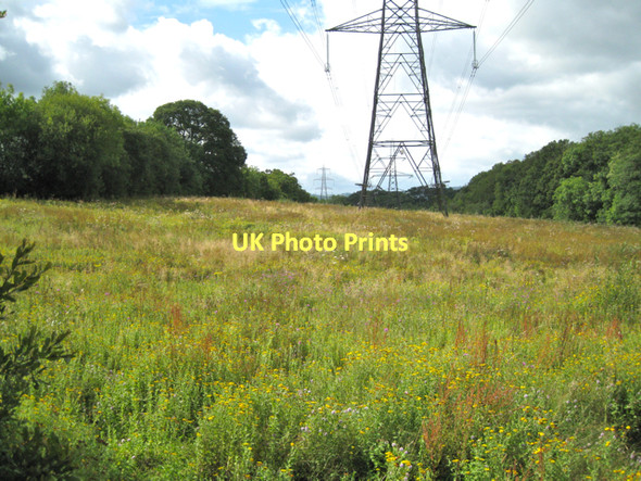 Photo 6"x4" Power lines northeast of Dunley Farm  Chudleigh Knighton c2011