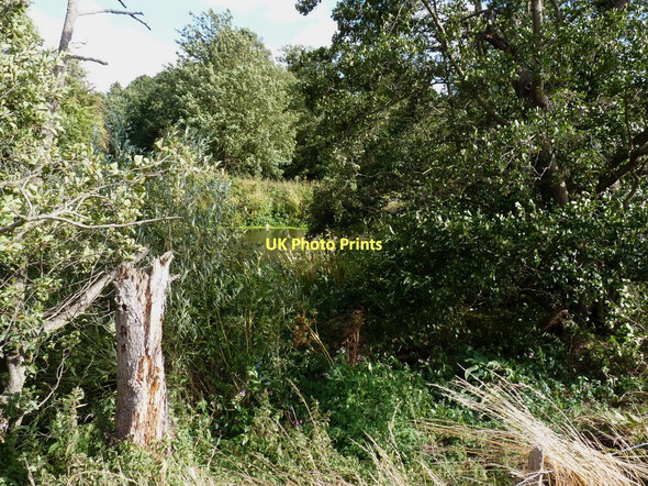 Photo 6"x4" The Rea Brook, Sutton Farm Shrewsbury c2011