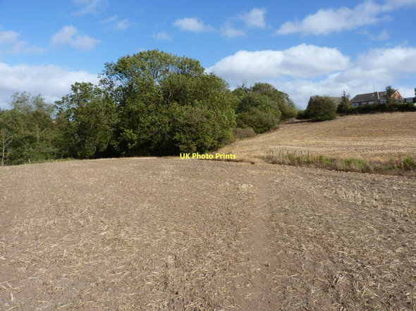 Photo 6"x4" Footpath west of Sutton Farm estate Shrewsbury c2011