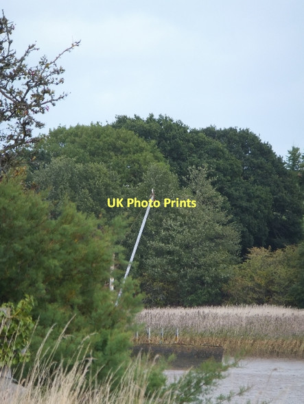 Photo 6"x4" Young osprey above River Clyst Ebford c2011