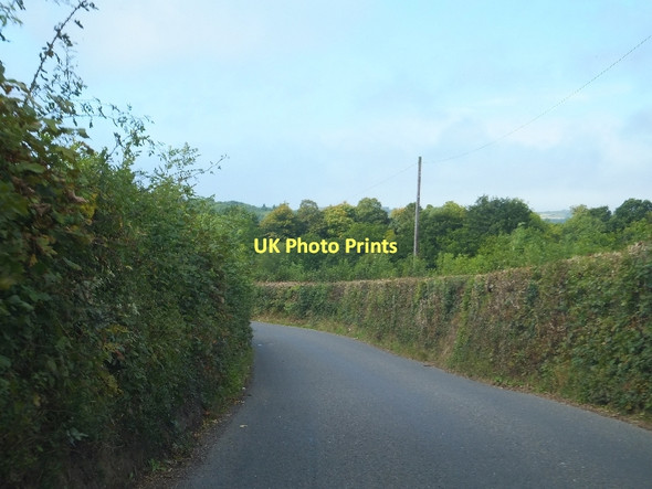 Photo 6"x4" The road to Dartmoor at Summerhill Cross Ashburton c2011