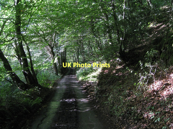 Photo 6"x4" Beadon Lane running north-northwest downhill Hennock c2011