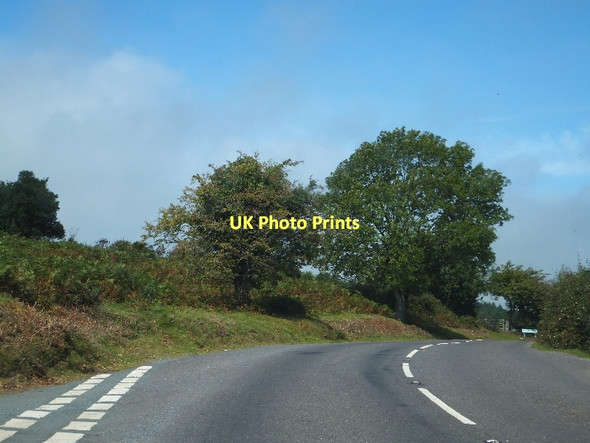 Photo 6"x4" On Aish Tor Poundsgate c2011