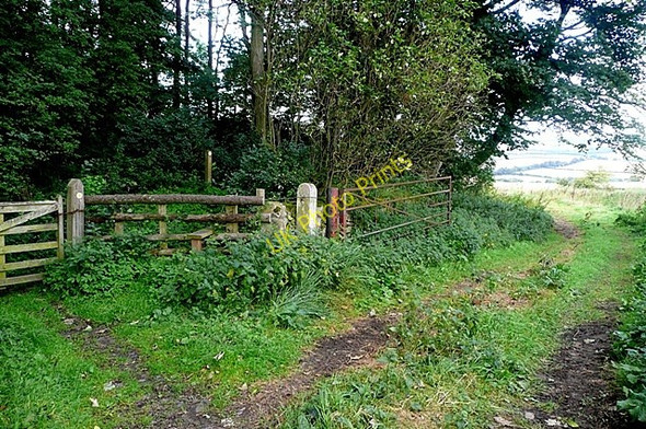 Photo 6"x4" Into Spy Law Wood Bilton\/NU2210 c2009