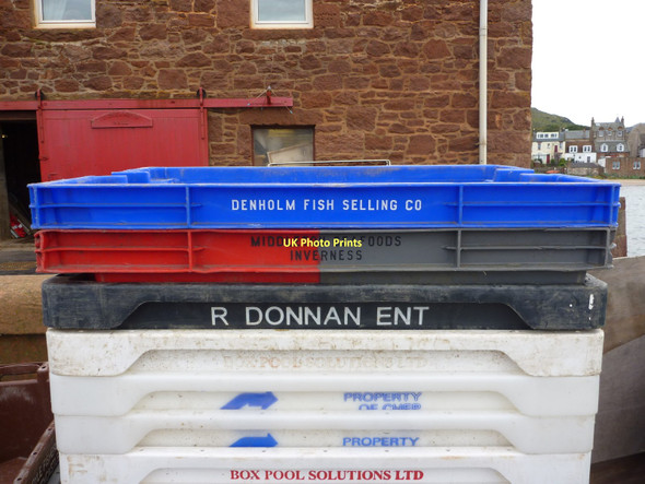 Photo 6"x4" Coastal East  Lothian : New Kid In Town North Berwick c2011