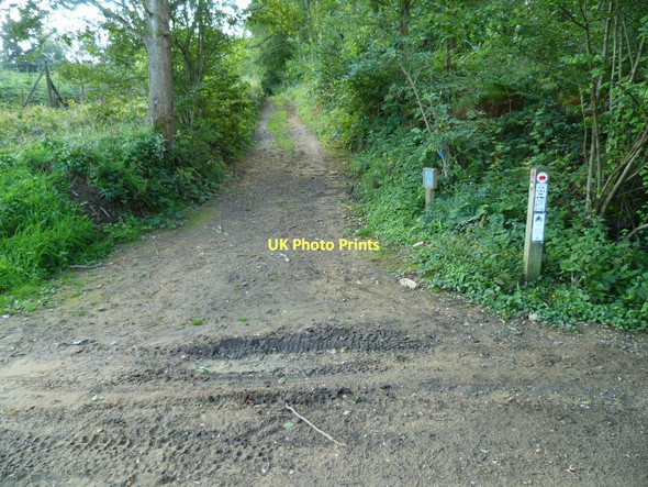 Photo 6"x4" Footpath crosses Madgehole Lane Farley Green\/TQ0645 c2011
